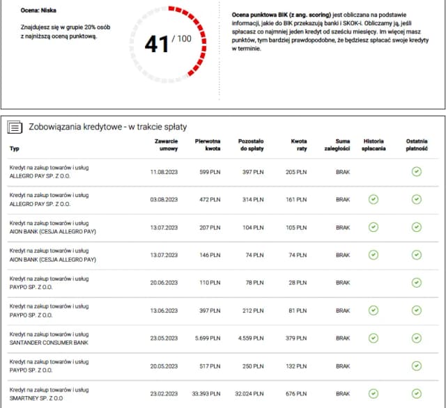 Jak długo widnieje się w BIK? Sprawdź, co musisz wiedzieć o kredytach